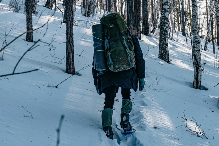 Uomo in ciaspole in mezzo al bosco innevato